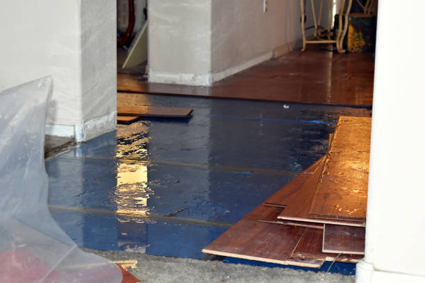 Professional Water Damage Restoration technician working in Fullerton, NE